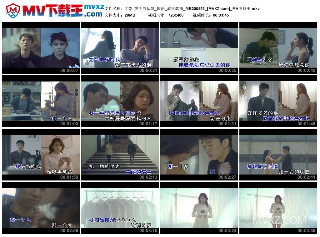 丁新-放手的惩罚_国语_流行歌曲_MB200453